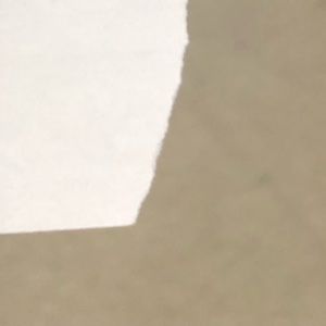 Meet your Posher, Alli